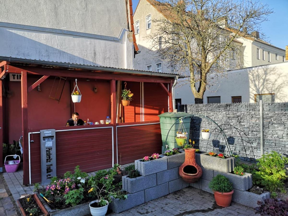 Pension Zur Gartenstadt Wittenberg Εξωτερικό φωτογραφία